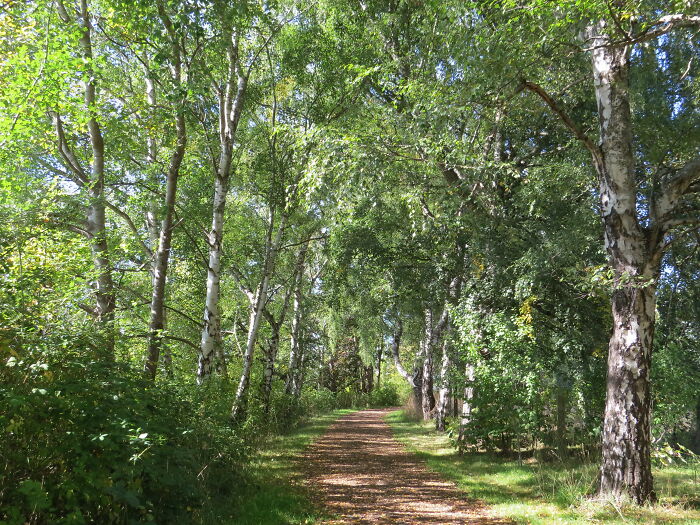 Hey Pandas, Show Me A Picture Of Your Favorite Liminal Space (Closed) Hey Pandas, Show Me A Picture Of Your Favorite Liminal Space (Closed)