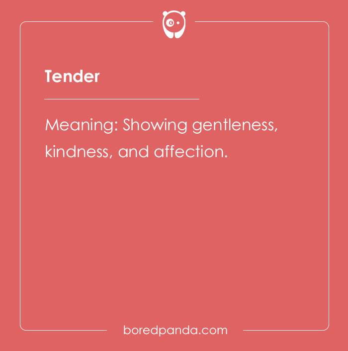 178 One-Word Compliments That Are Just Spot-On 178 One-Word Compliments That Are Just Spot-On