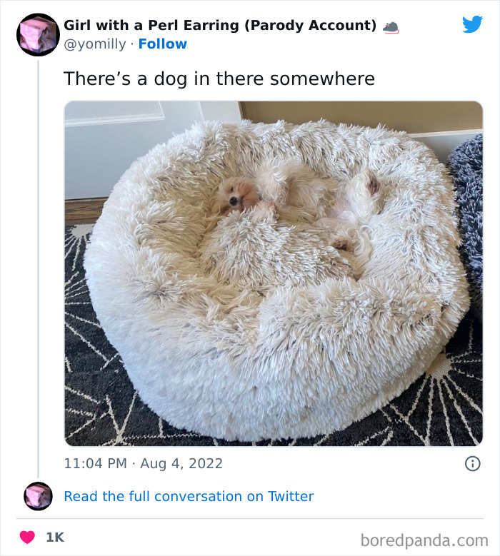 “What Kind Of Dog Is This”: 50 Hilarious Dog Photos To Put A Smile On Your Face, As Shared On This Twitter Page (New Pics) “What Kind Of Dog Is This”: 50 Hilarious Dog Photos To Put A Smile On Your Face, As Shared On This Twitter Page (New Pics)