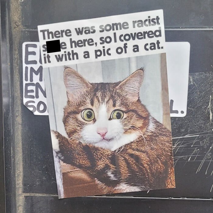 50 Mild And Wholesome Cases Of Vandalism People Have Documented In The Streets (New Pics)