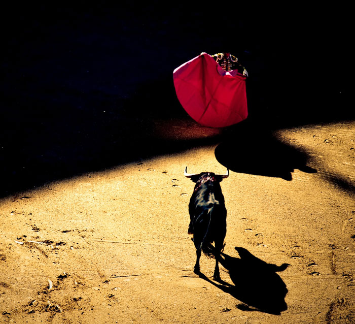 47 Updog Jokes With Funny Punchlines 47 Updog Jokes With Funny Punchlines