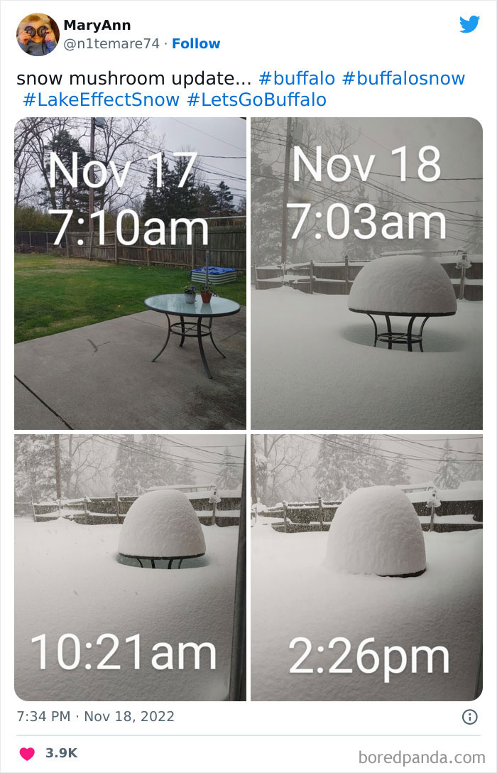 People Are Posting Wild Photos As Buffalo, New York, Digs Up From 6 Feet Of Snow People Are Posting Wild Photos As Buffalo, New York, Digs Up From 6 Feet Of Snow