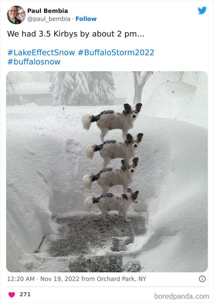 People Are Posting Wild Photos As Buffalo, New York, Digs Up From 6 Feet Of Snow People Are Posting Wild Photos As Buffalo, New York, Digs Up From 6 Feet Of Snow