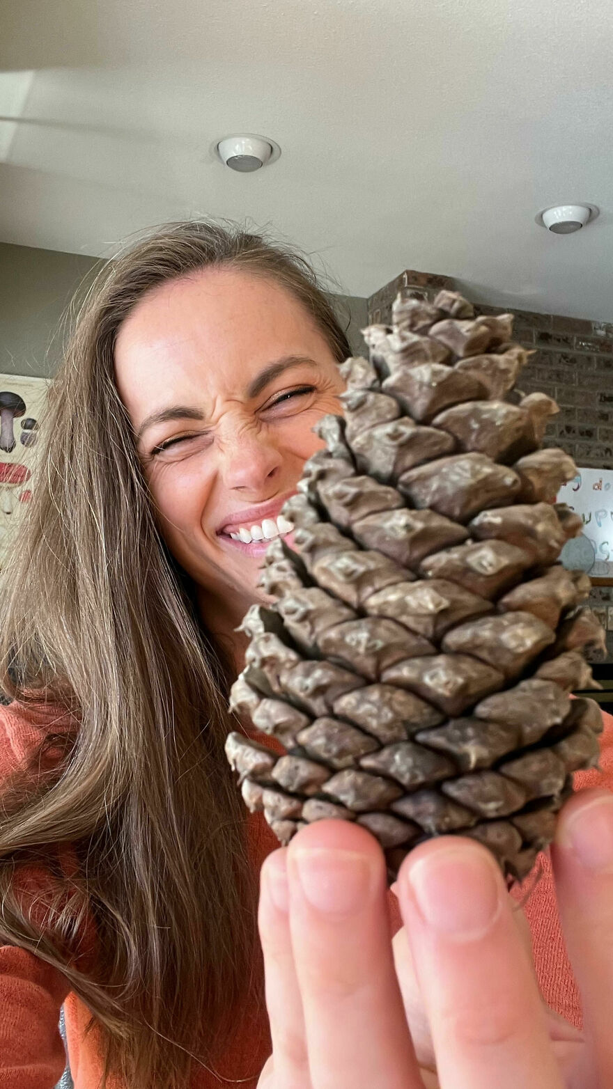 I Challenged Myself To See How Far I Could Get In Trading When Starting With A Pinecone, And Here’s How It Went
