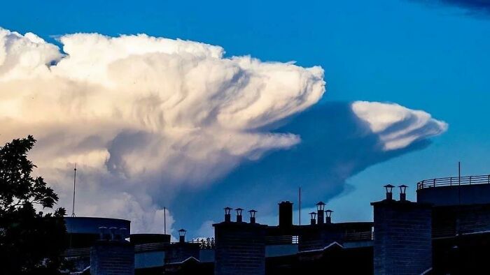 50 Massive Things That Are A Big ‘I’m Outta Here’ For People With Megalophobia (New Pics)