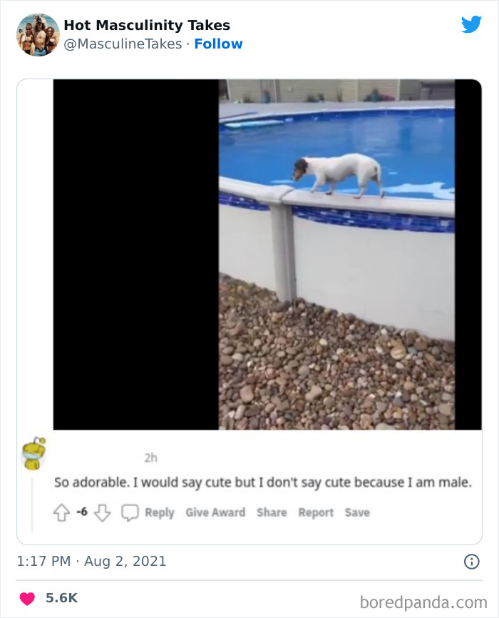 35 “Hot Masculinity Takes” That Are So Wrong, They Had To Be Shamed On This Twitter Page (New Posts) 35 “Hot Masculinity Takes” That Are So Wrong, They Had To Be Shamed On This Twitter Page (New Posts)