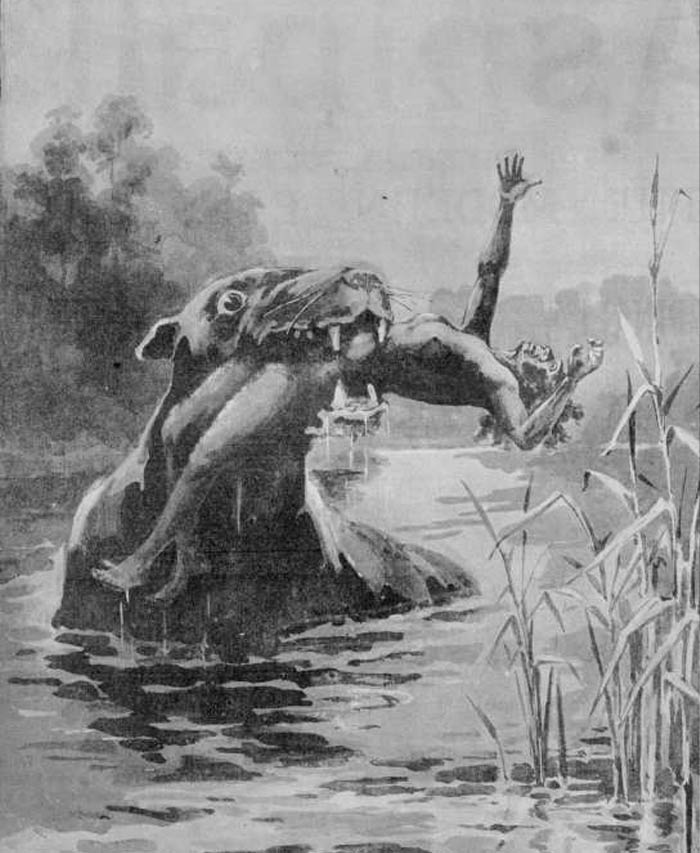 104 Mythical Creatures That Fairytales (And Nightmares) Are About 104 Mythical Creatures That Fairytales (And Nightmares) Are About