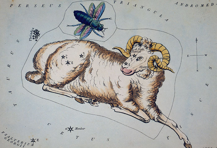 104 Mythical Creatures That Fairytales (And Nightmares) Are About 104 Mythical Creatures That Fairytales (And Nightmares) Are About