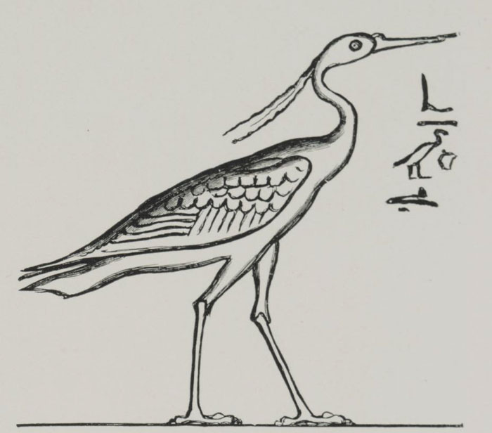 104 Mythical Creatures That Fairytales (And Nightmares) Are About 104 Mythical Creatures That Fairytales (And Nightmares) Are About