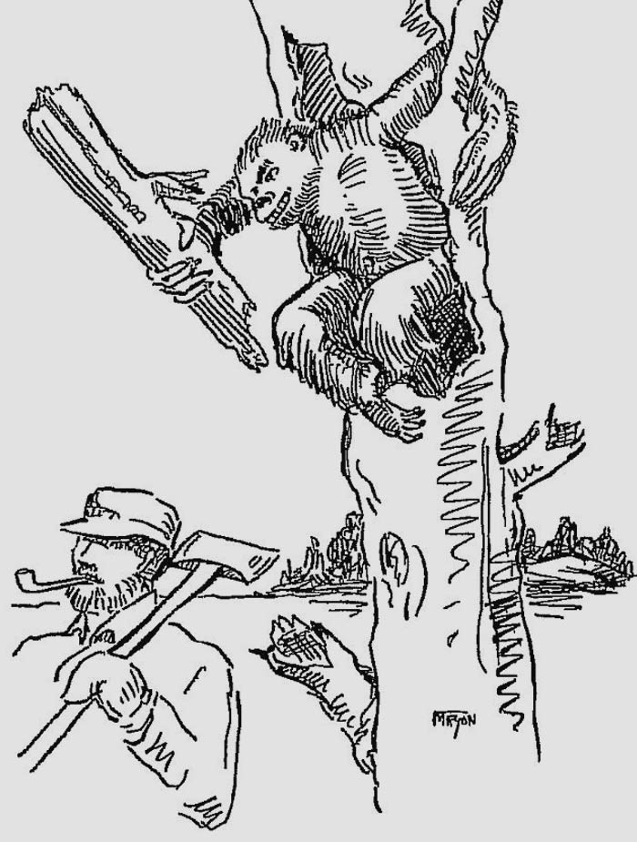 104 Mythical Creatures That Fairytales (And Nightmares) Are About 104 Mythical Creatures That Fairytales (And Nightmares) Are About