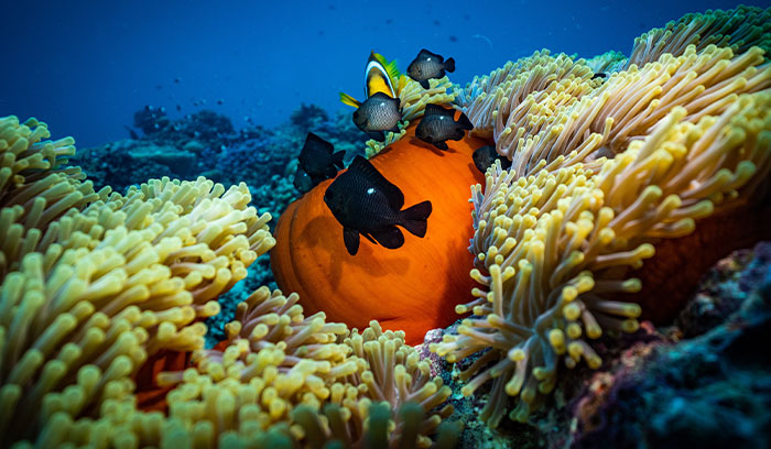 23 Things That Are Slowly Phasing Out In 2022 And Are Probably Going To Completely Disappear 23 Things That Are Slowly Phasing Out In 2022 And Are Probably Going To Completely Disappear