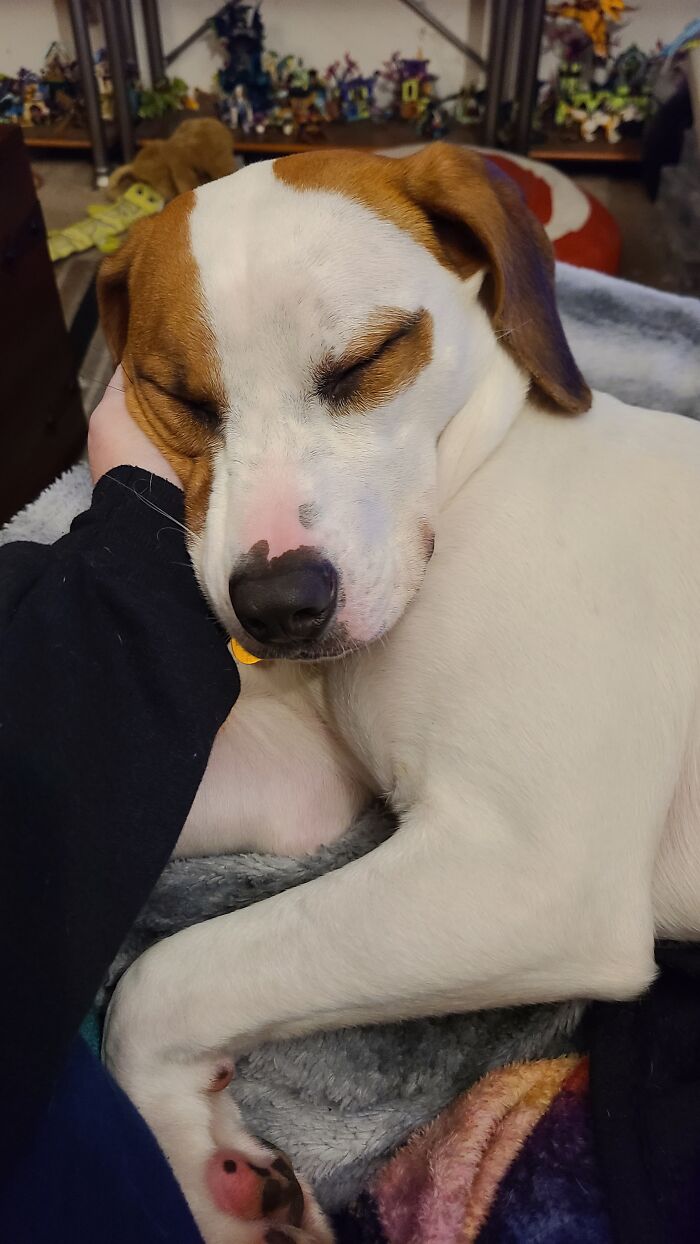 Hey Pandas, Share Something You Want To Share Hey Pandas, Share Something You Want To Share