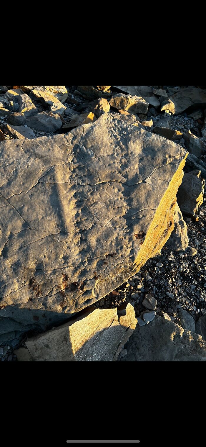 Hey Pandas, Share Something You Want To Share Hey Pandas, Share Something You Want To Share