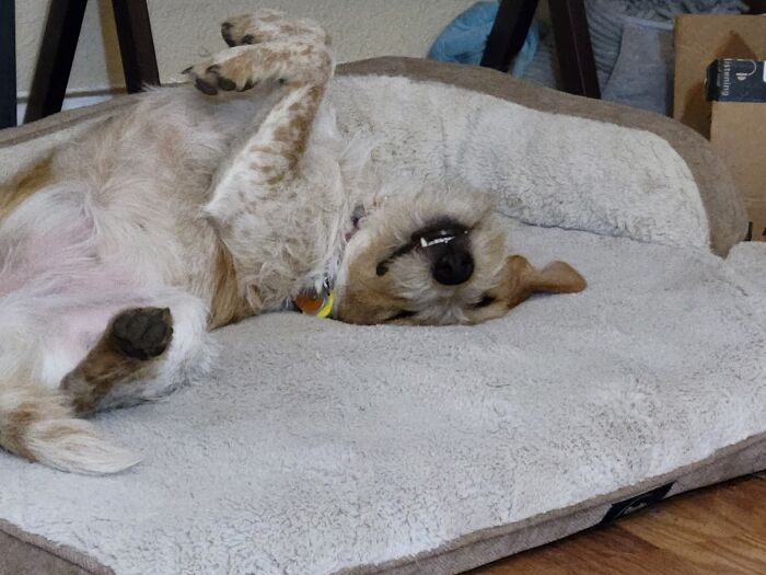 Hey Pandas, Share Something You Want To Share Hey Pandas, Share Something You Want To Share