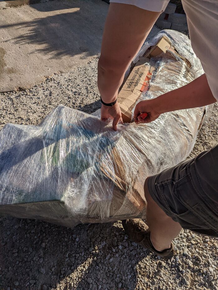 Hey Pandas, Share Something You Want To Share Hey Pandas, Share Something You Want To Share