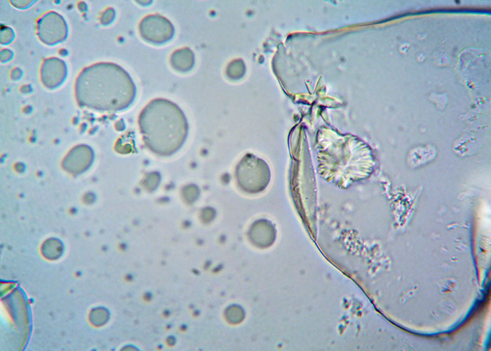 30 Mundane Yet Very Sinister Things In Disguise That Harm Us All 30 Mundane Yet Very Sinister Things In Disguise That Harm Us All