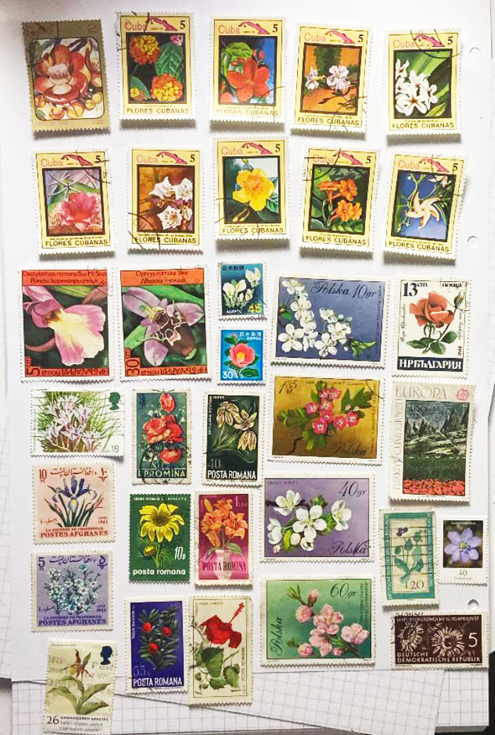 If You Are Looking For A New Hobby, Here Are Things To Collect If You Are Looking For A New Hobby, Here Are Things To Collect