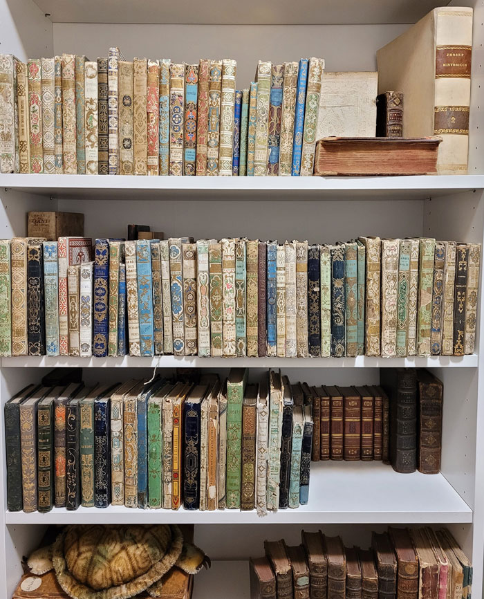 If You Are Looking For A New Hobby, Here Are Things To Collect If You Are Looking For A New Hobby, Here Are Things To Collect