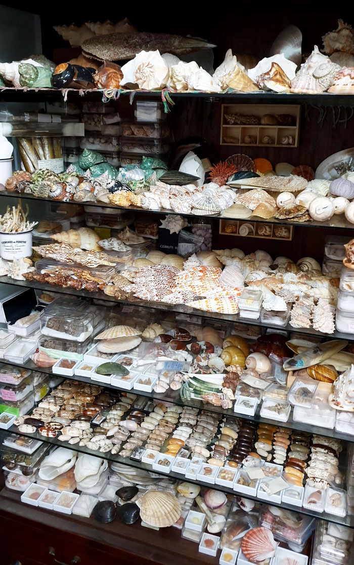 If You Are Looking For A New Hobby, Here Are Things To Collect If You Are Looking For A New Hobby, Here Are Things To Collect