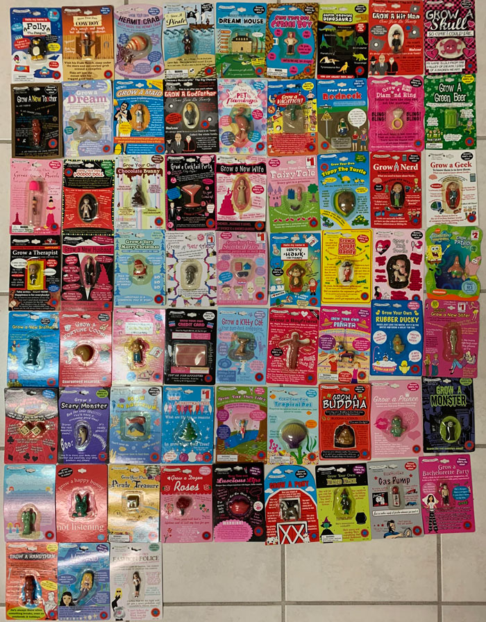 If You Are Looking For A New Hobby, Here Are Things To Collect If You Are Looking For A New Hobby, Here Are Things To Collect