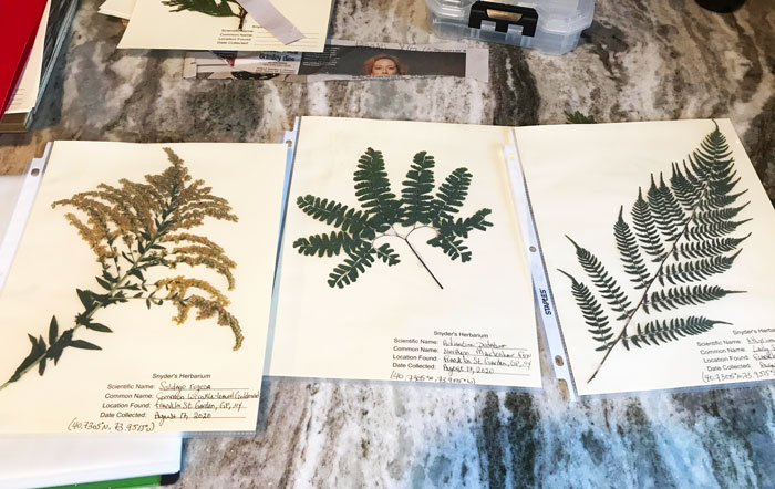 If You Are Looking For A New Hobby, Here Are Things To Collect If You Are Looking For A New Hobby, Here Are Things To Collect