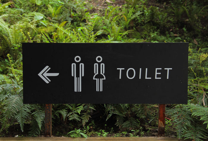 Your Brain May Be Sending You A Message Through These 95 Common Dreams Your Brain May Be Sending You A Message Through These 95 Common Dreams