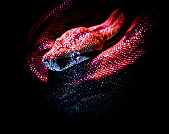 Your Brain May Be Sending You A Message Through These 95 Common Dreams Your Brain May Be Sending You A Message Through These 95 Common Dreams