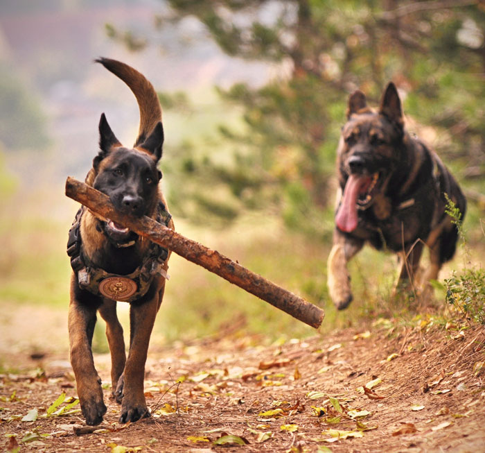 Your Brain May Be Sending You A Message Through These 95 Common Dreams Your Brain May Be Sending You A Message Through These 95 Common Dreams