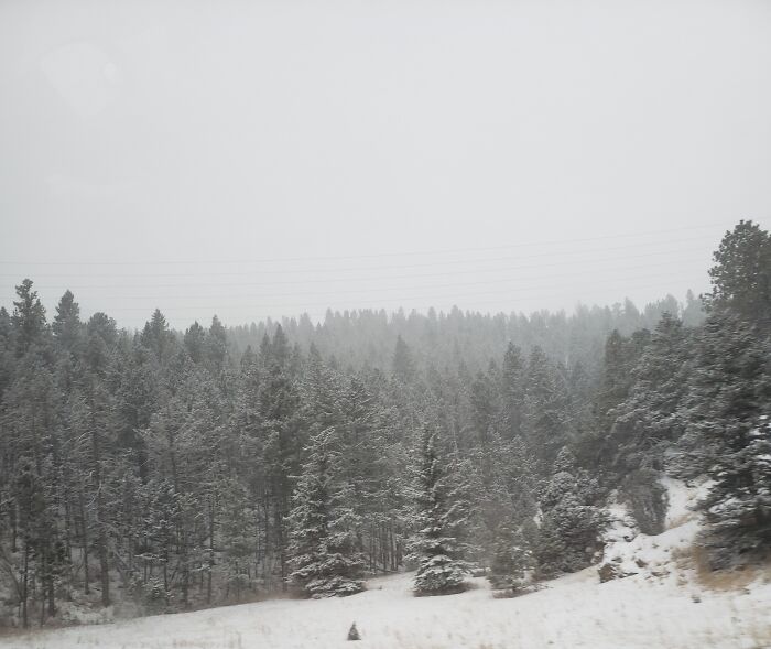 Hey Pandas, Post A Picture Of Your “Happy Place” (Closed) Hey Pandas, Post A Picture Of Your “Happy Place” (Closed)