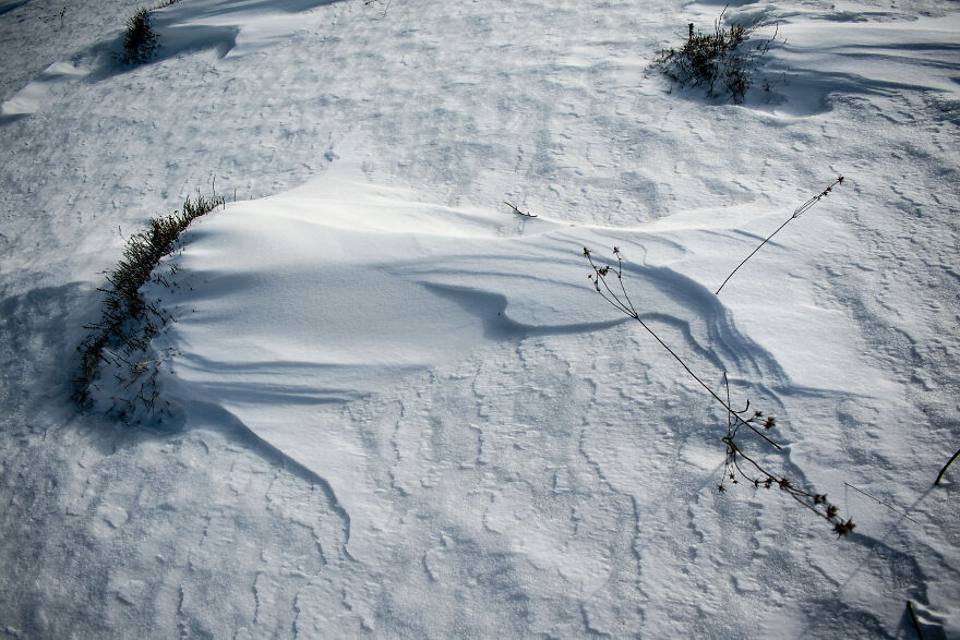 I Capture The Magical Beauty Of Winter In The Ukrainian Carpathians (30 Pics) I Capture The Magical Beauty Of Winter In The Ukrainian Carpathians (30 Pics)