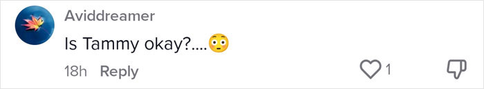 “With All Due Disrespect, Go To Hell”: People Roast These Delusional Demands A Parent Has For Their Babysitter While Only Paying Them $200 A Week “With All Due Disrespect, Go To Hell”: People Roast These Delusional Demands A Parent Has For Their Babysitter While Only Paying Them $200 A Week