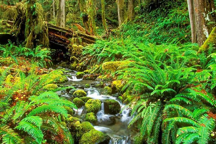 Beautiful Phu Quoc Island (5 Pics) Beautiful Phu Quoc Island (5 Pics)