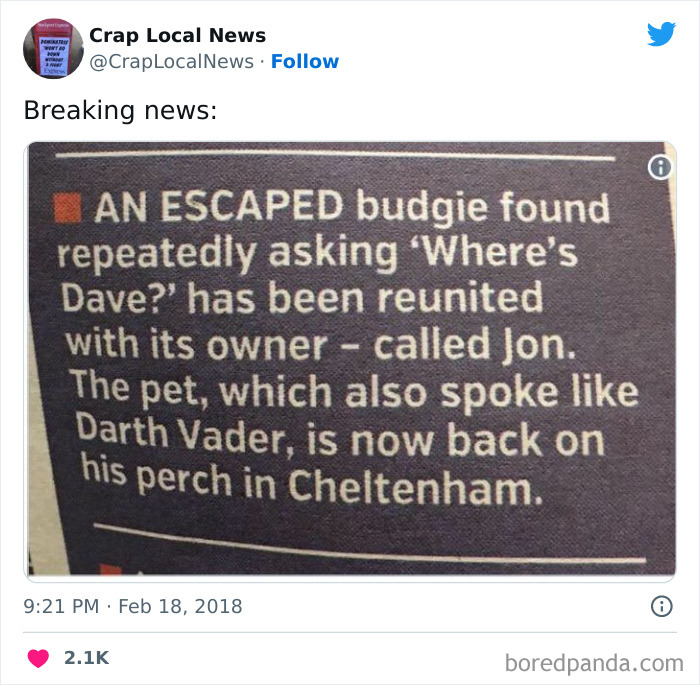 50 Fun Headlines From Local News That Are Unhinged And Bizarre 50 Fun Headlines From Local News That Are Unhinged And Bizarre