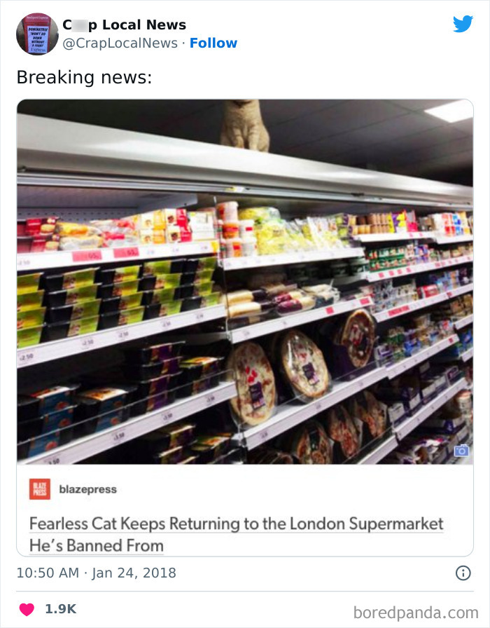 50 Fun Headlines From Local News That Are Unhinged And Bizarre 50 Fun Headlines From Local News That Are Unhinged And Bizarre