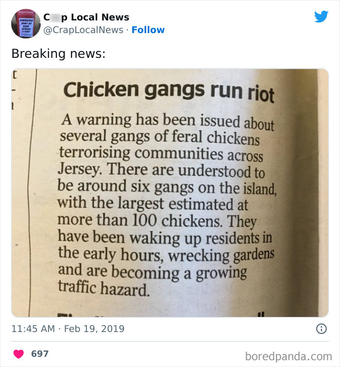 50 Fun Headlines From Local News That Are Unhinged And Bizarre 50 Fun Headlines From Local News That Are Unhinged And Bizarre