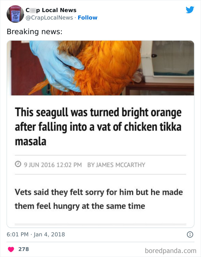 50 Fun Headlines From Local News That Are Unhinged And Bizarre 50 Fun Headlines From Local News That Are Unhinged And Bizarre