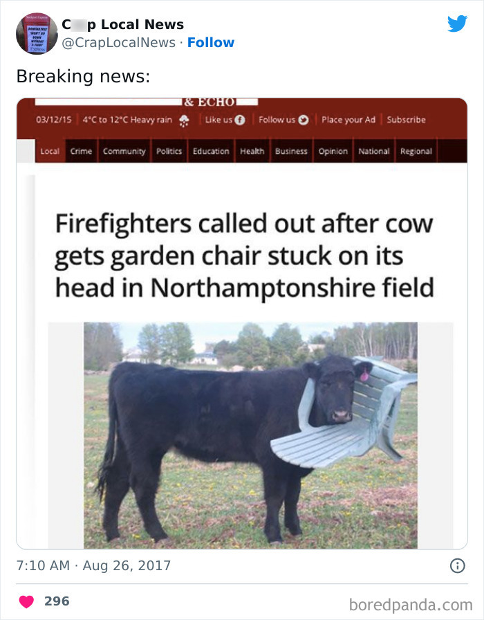 50 Fun Headlines From Local News That Are Unhinged And Bizarre 50 Fun Headlines From Local News That Are Unhinged And Bizarre