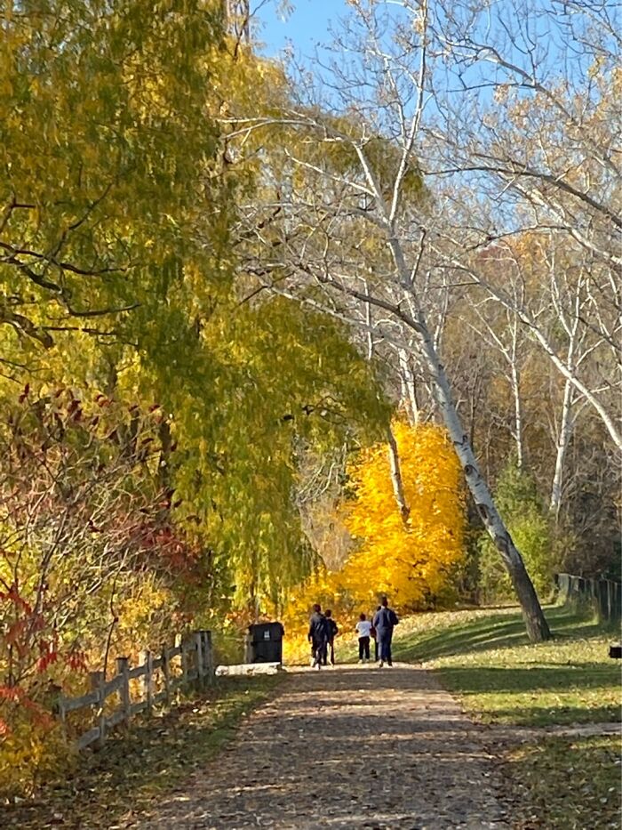 Hey Pandas, Post A Picture Of Your Favorite Hiking Spot