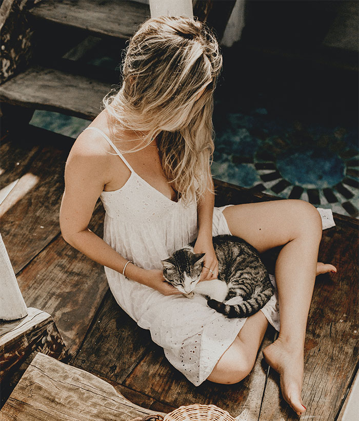 Guy Points Out The Dumb Logic Of Men Saying Women’s Standards Are “Too High” And That’s Why They’ll End Up As “Cat Ladies”