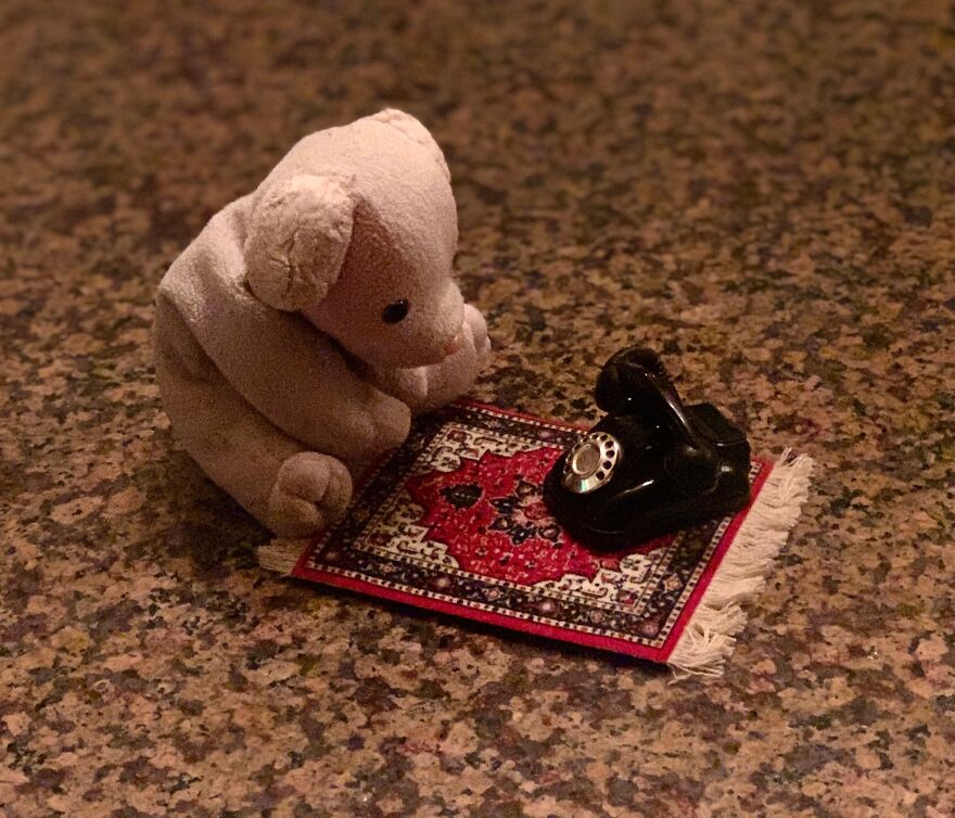 My Daughter Went To College And Left Her Childhood Toy At Home, So I Took These 40 Photos To Cheer Up And Fight The ‘Empty Nest Syndrome’ My Daughter Went To College And Left Her Childhood Toy At Home, So I Took These 40 Photos To Cheer Up And Fight The ‘Empty Nest Syndrome’