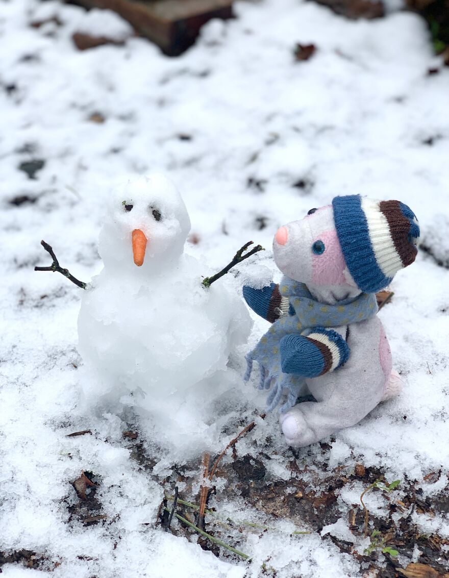 My Daughter Went To College And Left Her Childhood Toy At Home, So I Took These 40 Photos To Cheer Up And Fight The ‘Empty Nest Syndrome’ My Daughter Went To College And Left Her Childhood Toy At Home, So I Took These 40 Photos To Cheer Up And Fight The ‘Empty Nest Syndrome’