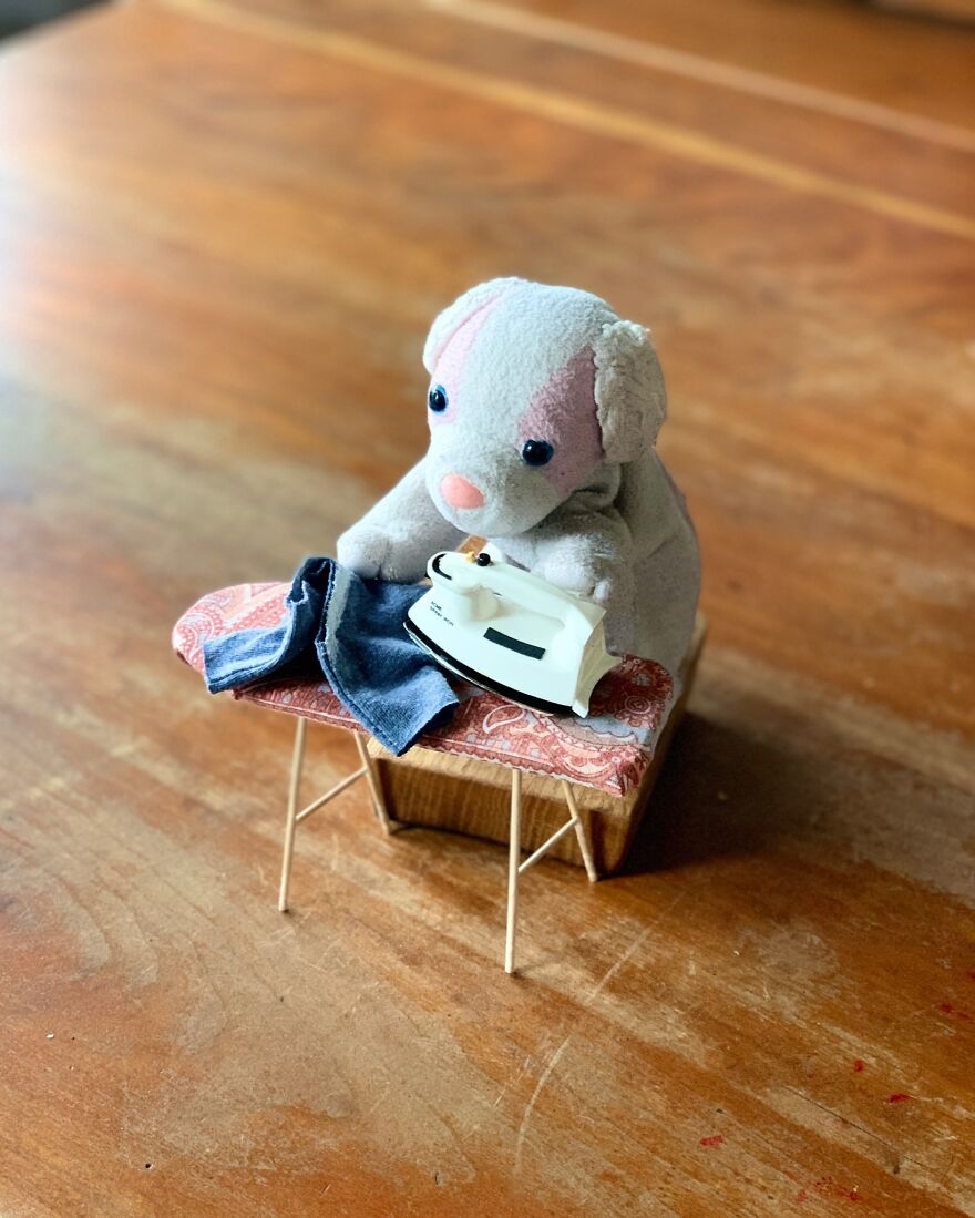 My Daughter Went To College And Left Her Childhood Toy At Home, So I Took These 40 Photos To Cheer Up And Fight The ‘Empty Nest Syndrome’ My Daughter Went To College And Left Her Childhood Toy At Home, So I Took These 40 Photos To Cheer Up And Fight The ‘Empty Nest Syndrome’