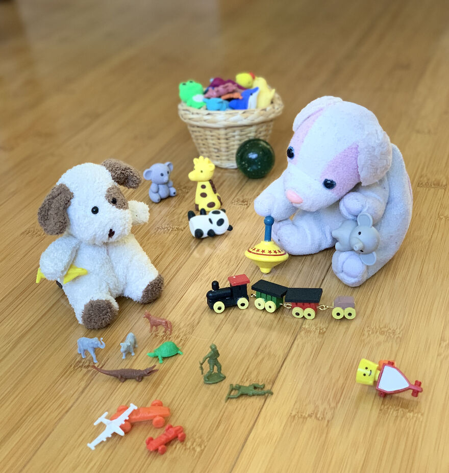 My Daughter Went To College And Left Her Childhood Toy At Home, So I Took These 40 Photos To Cheer Up And Fight The ‘Empty Nest Syndrome’ My Daughter Went To College And Left Her Childhood Toy At Home, So I Took These 40 Photos To Cheer Up And Fight The ‘Empty Nest Syndrome’