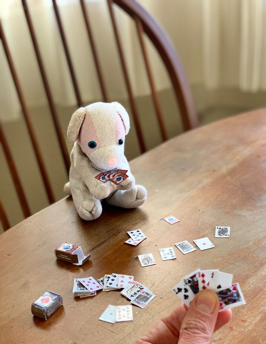 My Daughter Went To College And Left Her Childhood Toy At Home, So I Took These 40 Photos To Cheer Up And Fight The ‘Empty Nest Syndrome’ My Daughter Went To College And Left Her Childhood Toy At Home, So I Took These 40 Photos To Cheer Up And Fight The ‘Empty Nest Syndrome’