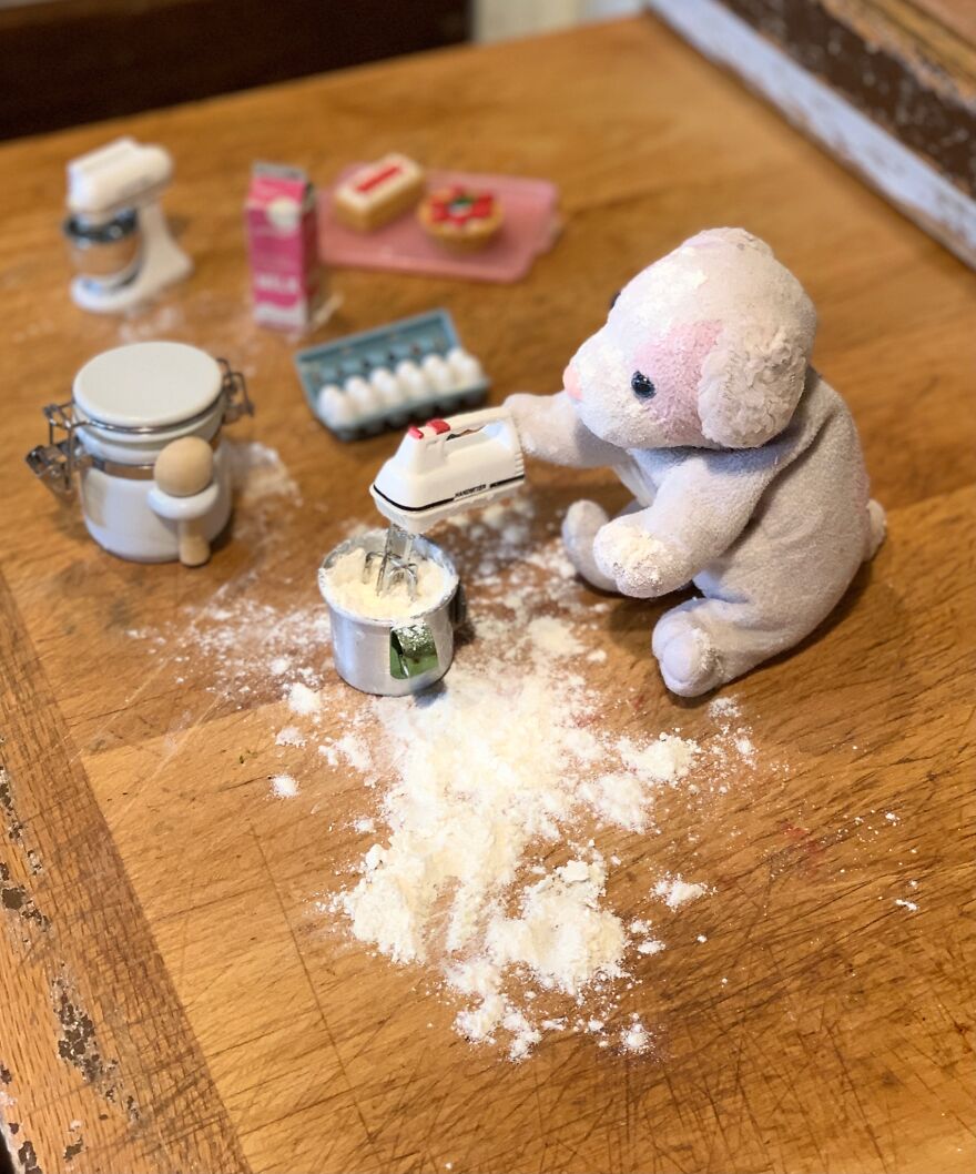 My Daughter Went To College And Left Her Childhood Toy At Home, So I Took These 40 Photos To Cheer Up And Fight The ‘Empty Nest Syndrome’ My Daughter Went To College And Left Her Childhood Toy At Home, So I Took These 40 Photos To Cheer Up And Fight The ‘Empty Nest Syndrome’