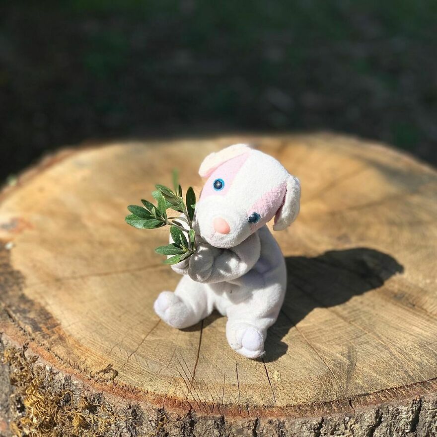 My Daughter Went To College And Left Her Childhood Toy At Home, So I Took These 40 Photos To Cheer Up And Fight The ‘Empty Nest Syndrome’ My Daughter Went To College And Left Her Childhood Toy At Home, So I Took These 40 Photos To Cheer Up And Fight The ‘Empty Nest Syndrome’