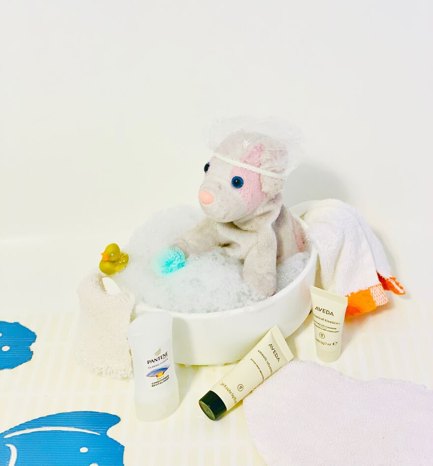 My Daughter Went To College And Left Her Childhood Toy At Home, So I Took These 40 Photos To Cheer Up And Fight The ‘Empty Nest Syndrome’ My Daughter Went To College And Left Her Childhood Toy At Home, So I Took These 40 Photos To Cheer Up And Fight The ‘Empty Nest Syndrome’