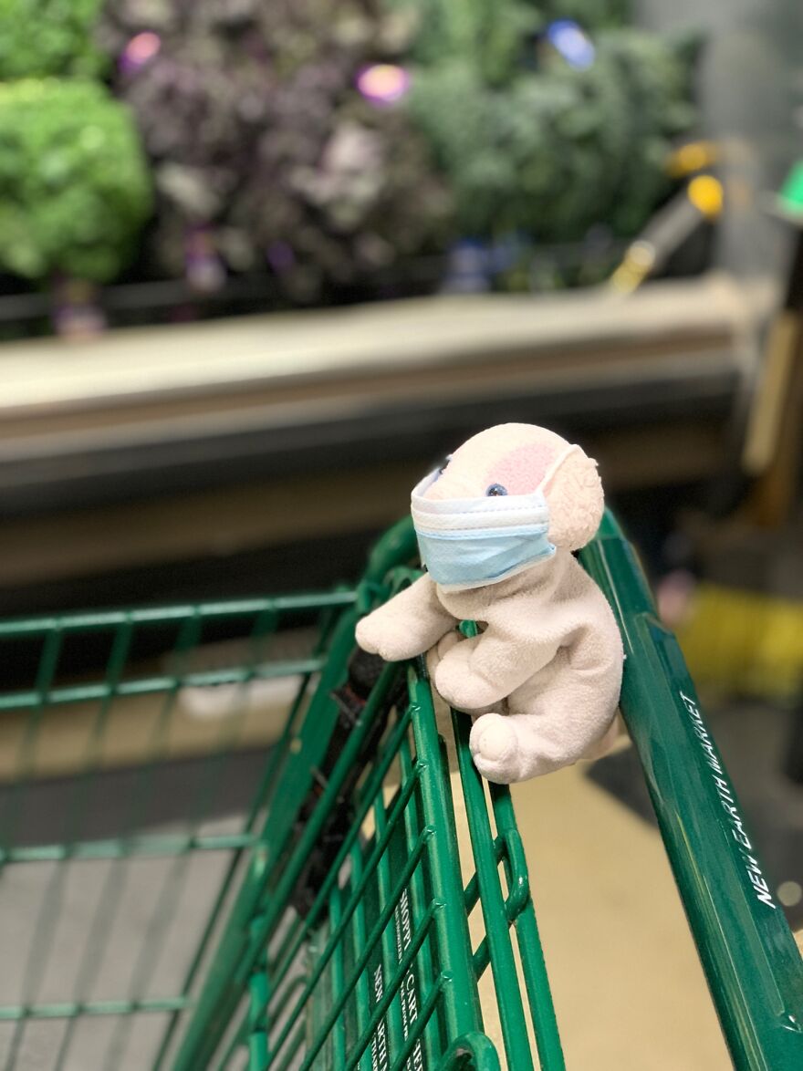 My Daughter Went To College And Left Her Childhood Toy At Home, So I Took These 40 Photos To Cheer Up And Fight The ‘Empty Nest Syndrome’ My Daughter Went To College And Left Her Childhood Toy At Home, So I Took These 40 Photos To Cheer Up And Fight The ‘Empty Nest Syndrome’