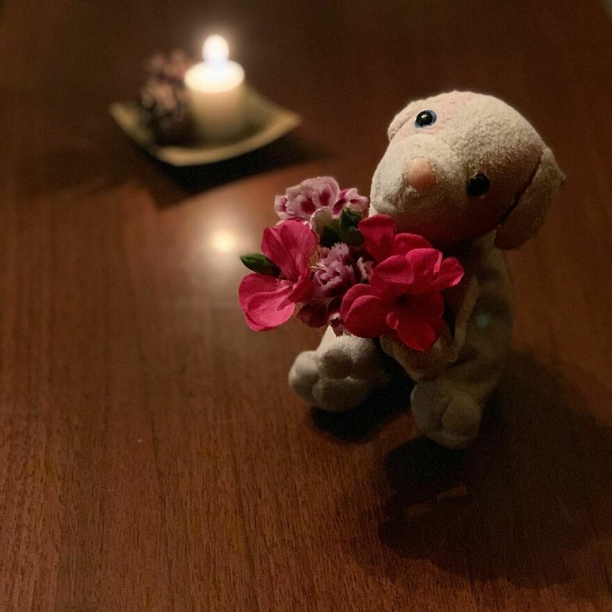 My Daughter Went To College And Left Her Childhood Toy At Home, So I Took These 40 Photos To Cheer Up And Fight The ‘Empty Nest Syndrome’ My Daughter Went To College And Left Her Childhood Toy At Home, So I Took These 40 Photos To Cheer Up And Fight The ‘Empty Nest Syndrome’