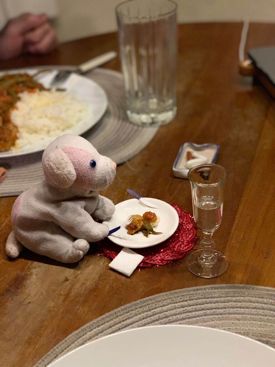 My Daughter Went To College And Left Her Childhood Toy At Home, So I Took These 40 Photos To Cheer Up And Fight The ‘Empty Nest Syndrome’ My Daughter Went To College And Left Her Childhood Toy At Home, So I Took These 40 Photos To Cheer Up And Fight The ‘Empty Nest Syndrome’